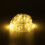 (Warm White) 8 Modes 100M 100LED Stripe Party Lights Decorative Lamp Timer Memory Function Christmas Tree Waterproof Decor 1