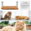 Cat Window Hammock Window Cat Bed With Suction Cup 4