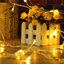 (Warm White) 10M 100LED Fairy String Christmas Light Outdoor Waterproof Wedding Holiday Party Lamp EU Plug