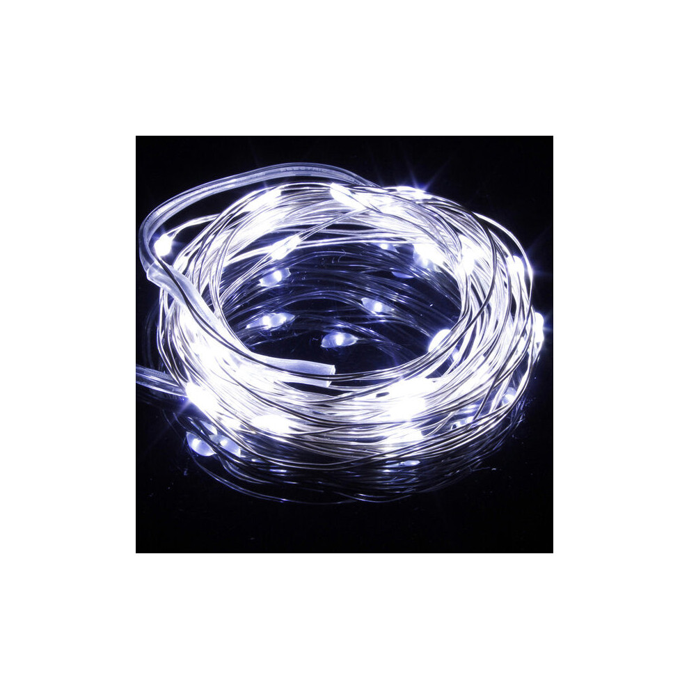 (White) Warm White/White 10M 100LED Copper Wire LED String Lights Lamp 12V