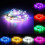 (Warm White) 12V 5M 50LED Silver Wire Christmas String Fairy Light Remote Controller without Adapter 10