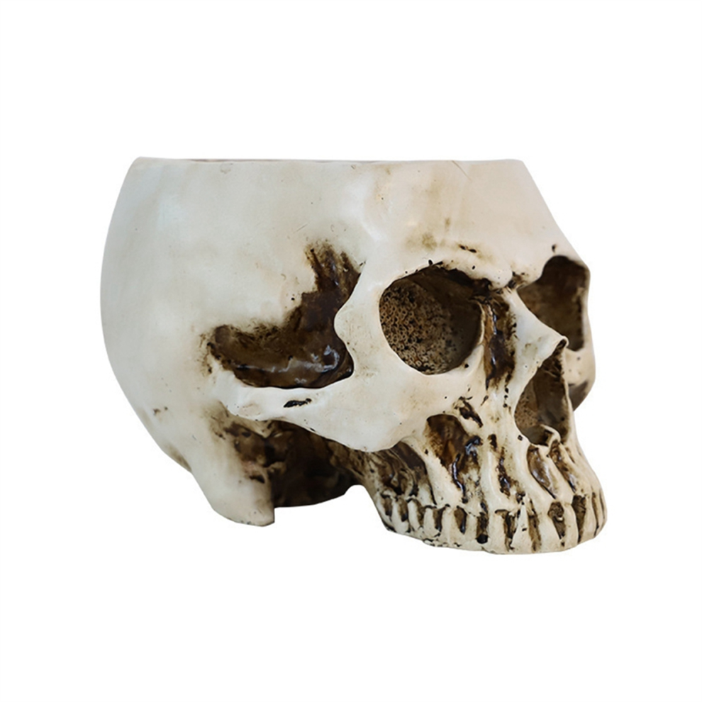 Maceta De CráNeo Humano De Resina, Modelo Artesanal, Para El Hogar B-image
