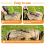 15 Pieces Copper Nails for Killing Tree Stump 2