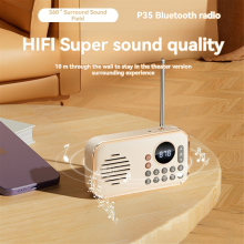 FM Radio rechargeable small Wireless Bluetooth Speaker pink