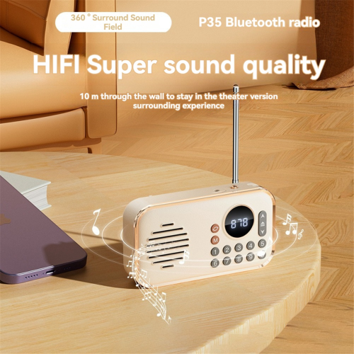 FM Radio rechargeable small Wireless Bluetooth Speaker pink