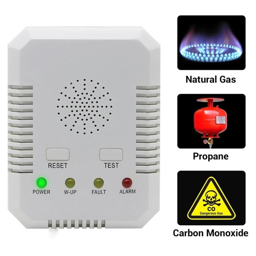 (Ex-, EU Plug) Natural Gas CO Gas Leak Meter Combustible Gas Tester Alarm Determine Tester for Home with Valve