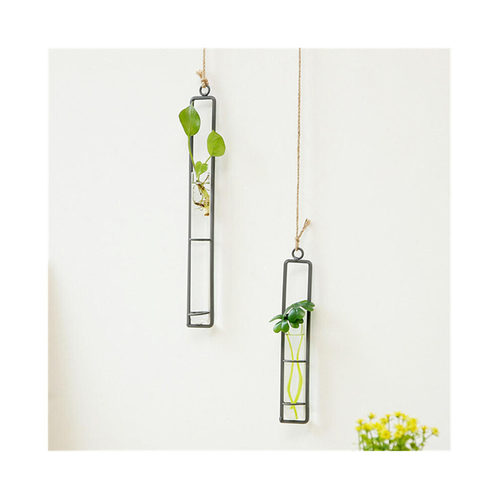 Large Glass Vase Hemp Rope Pendant Living Room Wall Hanging Green Plant Containers