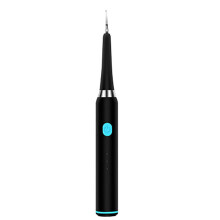 (Black) 2 in 1 Electric Sonic Oral Irrigator IPX5 Electric Toothbrush USB Rechargeable Dental Scaler Tooth Calculus Oral Irrigator