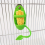 Bird Cage Feeding Rack Vegetable Fruit Cuttlefish Skeleton 6