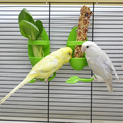 Bird Cage Feeding Rack Vegetable Fruit Cuttlefish Skeleton 2