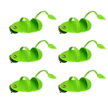 Gaiola de pássaros, suporte de alimentação, vegetais, frutas, lula, esqueleto