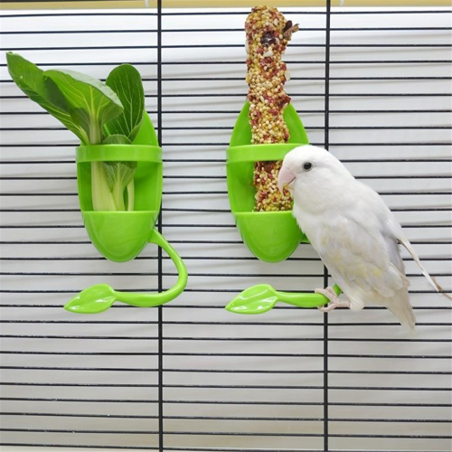 Bird Cage Feeding Rack Vegetable Fruit Cuttlefish Skeleton 1