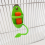 Bird Cage Feeding Rack Vegetable Fruit Cuttlefish Skeleton 5