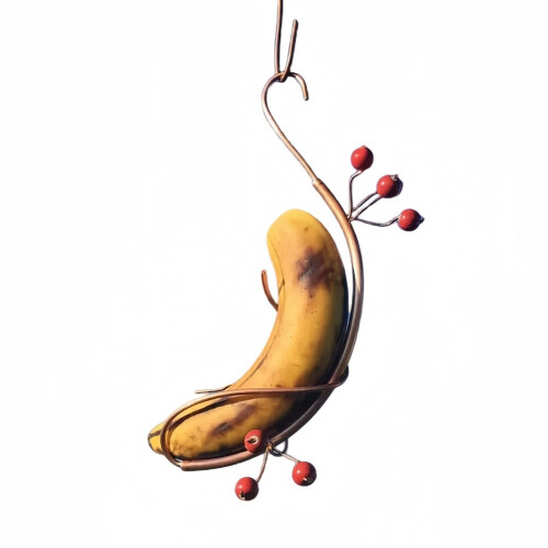 Πεταλούδα Μπανάνα Αιώρα Εξωτερικής Κρεμαστός Τροφοδότης Πεταλούδας 1 ΤΕΜ 2