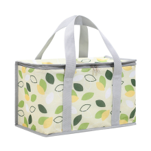 Insulated Picnic Bag Cooler Reusable, Beach Bag Cooler Bags