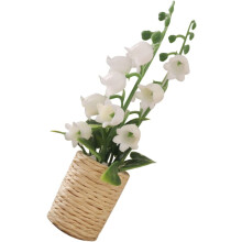 Hyacint Groene Plant Miniatuur Bloempot Speelgoed Miniatuur Plant Miniatuur Bloempot Dékor