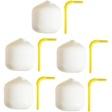 Mini cocos para casa de muñecas, 5 cocos de resina simulados para decoración y exhibición en miniatura.
