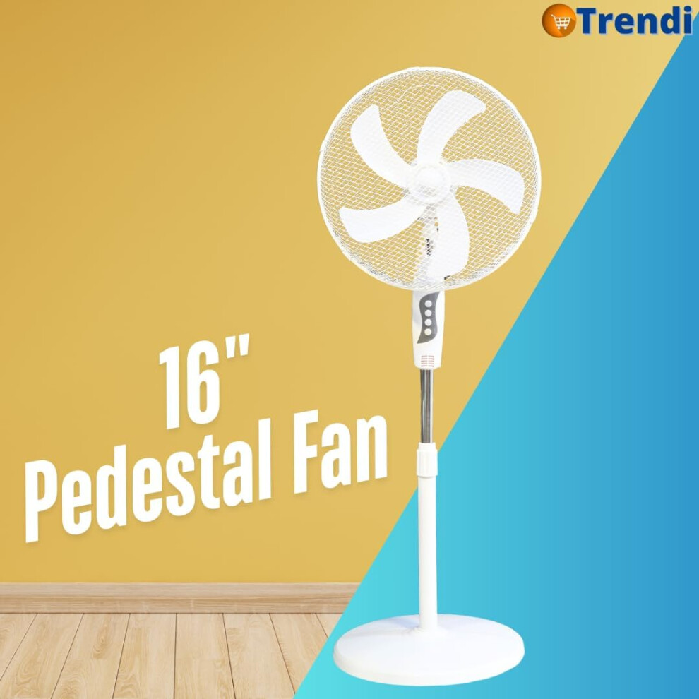 Pedestal Standing Fan, Adjustable Height & Mesh Guard