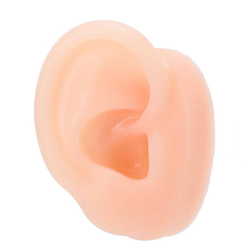 Silicone Ear Model Simulation Artificial Human Right Ear Display Model for Hearing Aid Wearing