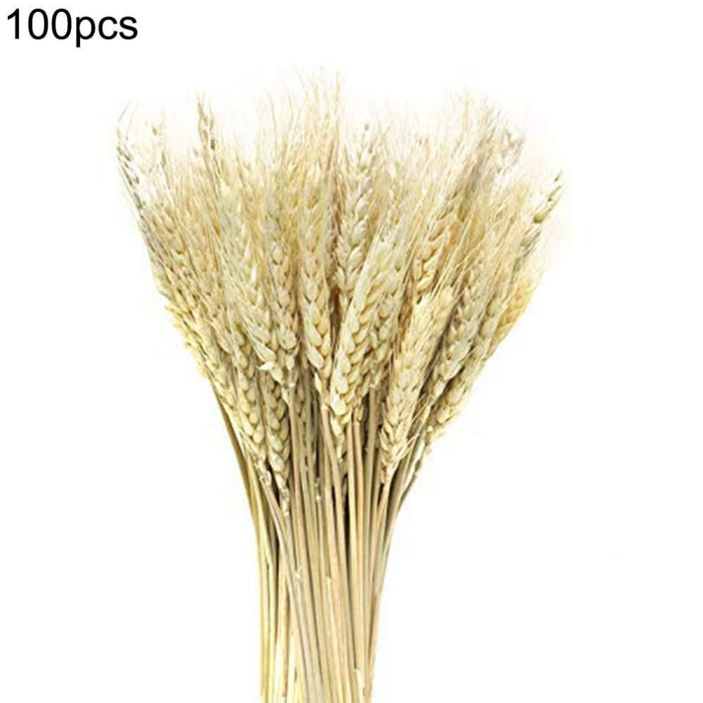 100pcs Artificial Wheat Dried Flowers Realistic Dried Wheat Sheaves For Christmas Evening Party