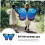 Shawl Butterflies Καλοκαιρινό Φόρεμα για Γυναικεία Αποκριάτικη Στολή Πεταλούδα Φτερά 7