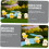 4τμχ Micro Landscape Duck Tiny Resin Άγαλμα Μικροσκοπικές Φιγούρες Mini Figurines Mini Resin 4