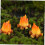 8τμχ Fire Micro Landscape Ornaments Μινιατούρες Ρητίνη Fake Campfire Εξωραϊσμός Fire Model Fire Model 7
