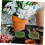 1 κουτί ψεύτικα λουλούδια Sand Table Flower Cluster Artificial Flower Ornament Simulation Flower Cluster 7