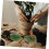 1 κουτί ψεύτικα λουλούδια Sand Table Flower Cluster Artificial Flower Ornament Simulation Flower Cluster 8