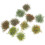 10 τμχ Simulation Flower Cluster DIY Mini Flower Micro Landscape Decorations Flowers Groups 1