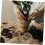 10 τμχ Simulation Flower Cluster DIY Mini Flower Micro Landscape Decorations Flowers Groups 7