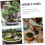 10 τμχ Simulation Flower Cluster DIY Mini Flower Micro Landscape Decorations Flowers Groups 8