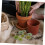 10 τμχ Simulation Flower Cluster DIY Mini Flower Micro Landscape Decorations Flowers Groups 2