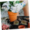 10 τμχ Simulation Flower Cluster DIY Mini Flower Micro Landscape Decorations Flowers Groups 4