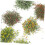 10 τμχ Simulation Flower Cluster DIY Mini Flower Micro Landscape Decorations Flowers Groups 3