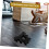 Σχάρα αποθήκευσης αλτήρων Kettlebell Rack Barbell Rack Barbell Rack Βάση τοποθέτησης αλτήρων 3