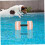 2 τμχ Αλτήρες νερού Eva Foam Pool Weights Υδάτινη Άσκηση Χέρι αλτήρα 5