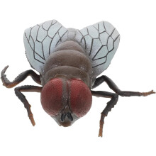 Simulation Fly Prank Fly for Joke Fake Fly Insect Pranks Realistic Little Fly Bugs for Joke Fly Joke Realistic Insect Practical Joke Fly Plastic