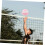 Wilson Volleyball Night Balls Volleyball Soft Size 5 Προπόνηση βόλεϊ για αθλητικά παιχνίδια και εξάσκηση 7