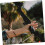 Archery Recurve Stabilizer Bow Fitting Amortable Tool for Archery Bows Equipment 5
