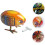 1 τεμ. Παιδικά κουρδινά παιχνίδια Chick Wind up Toys Μεταλλικά Ζώο Wind-up Toy Χρώμα Τυχαίο 8