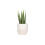 Creative Co-Op Plantator de gresie n relief mare mata Matte Matte 5