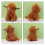 "12" "Long haired highland cows, large long haired animals" 4