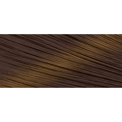 Bigen Bigen Speedy Conditioning Color Refill: 2 Light Warm Chestnut - 3 Pack 1