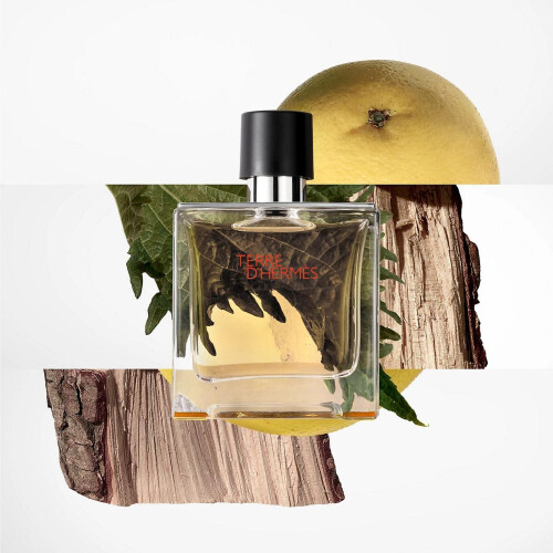 Hermes Terre D'Hermes autorstwa Hermesa Eau de Toolette Spray 6,7 uncji 2