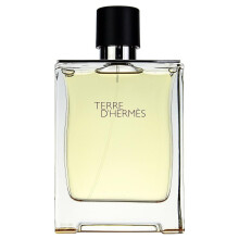 Terre D'Hermes von Hermes Eau de Toilette Spray 6,7 Oz M   nner