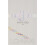 Lomani Eau de Toilette Spray για Άνδρες Λευκόχρυσο 3,3 ουγγιές 2