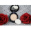 Beauticontrol Translucent Setting Powder 2