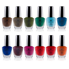 SHANY Nail Polish Set - Nail Lacquer Quick Dry Full Size Vibrant Colorful Trendy Semi Glossy Shimmery Matte Nail Polish Set - 12 Colors - Paste