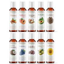Top 10 Trgerl -Sorte Set 2 oz - kalt gepresst 100% reines natrliches ses Mandel -Aprikosen -Kernel Argan Avocado Castor Fctionated Coconut G